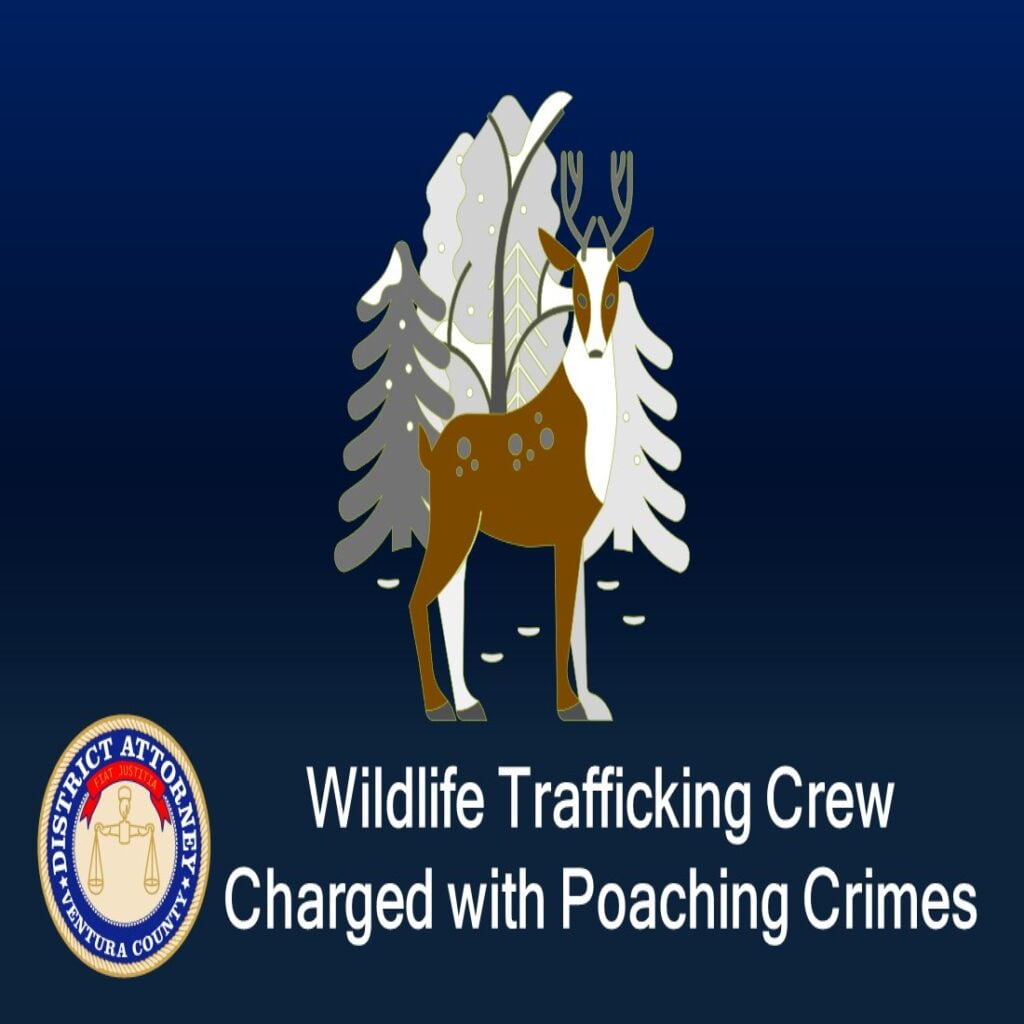 Wildlife Trafficking Crew Charged and Pled Guilty to Poaching Crimes