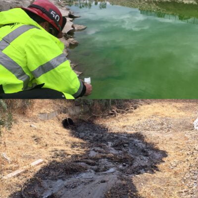 Environmental Crimes