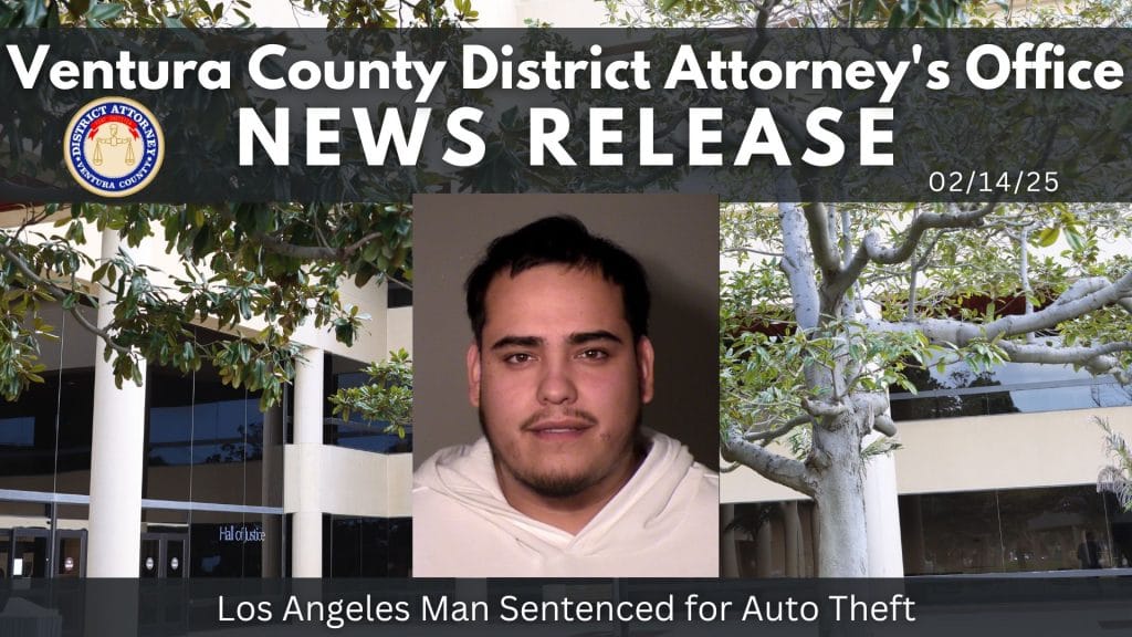 Los Angeles Man Sentenced for Auto Theft