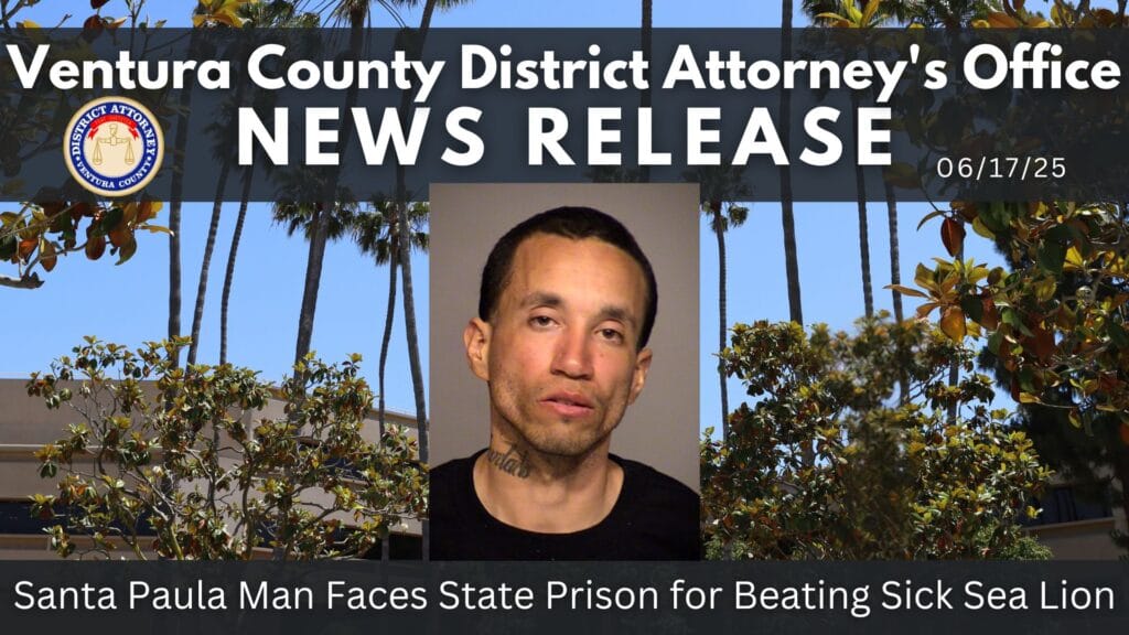 Santa Paula Man Faces State Prison for Beating Sick Sea Lion