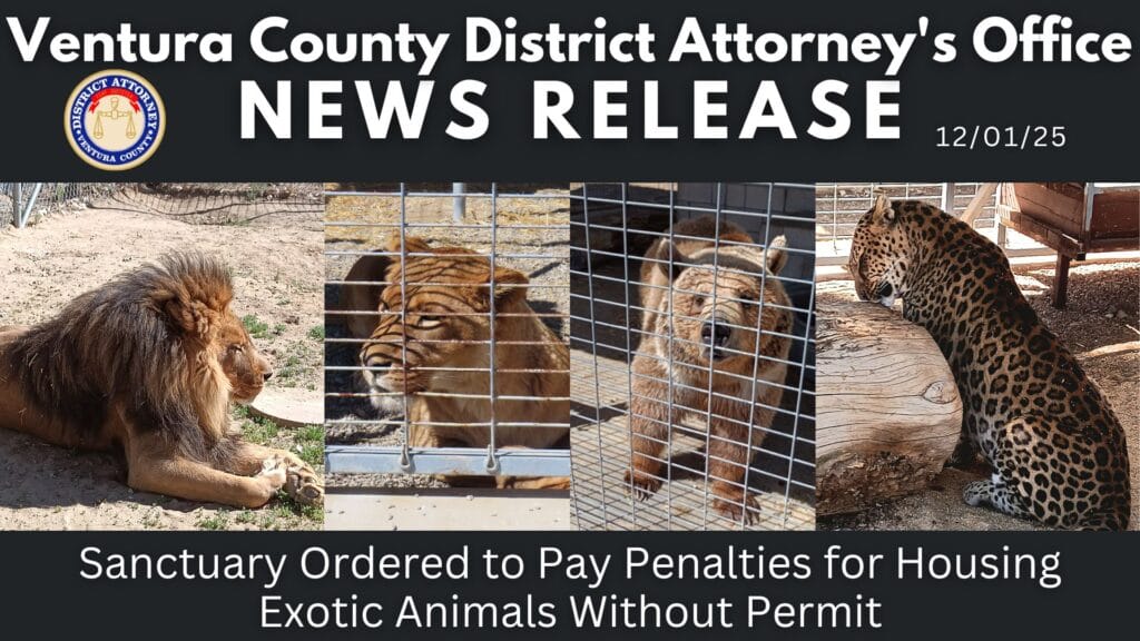 Sanctuary Ordered to Pay Penalties for Housing Exotic Animals Without Permit