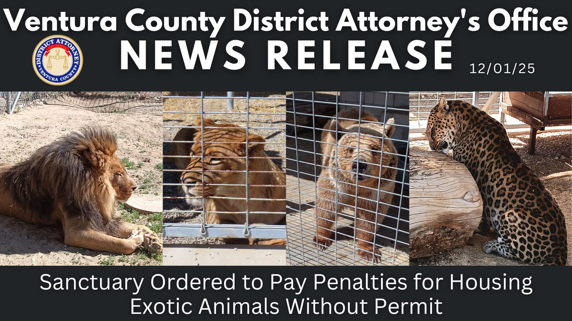 Sanctuary Ordered to Pay Penalties for Housing Exotic Animals Without Permit