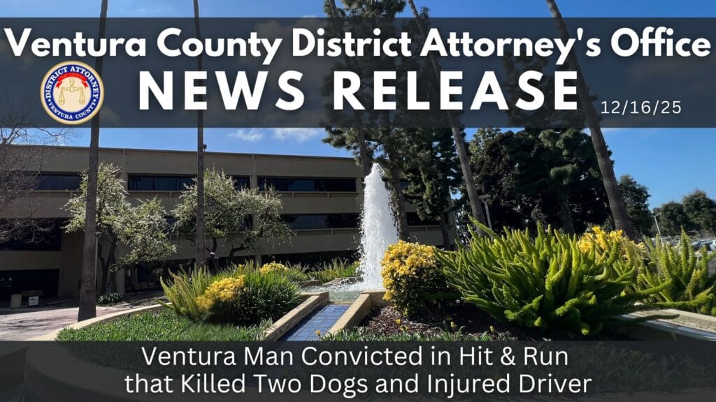 Ventura Man Convicted in Hit & Run that Killed Two Dogs and Injured Driver