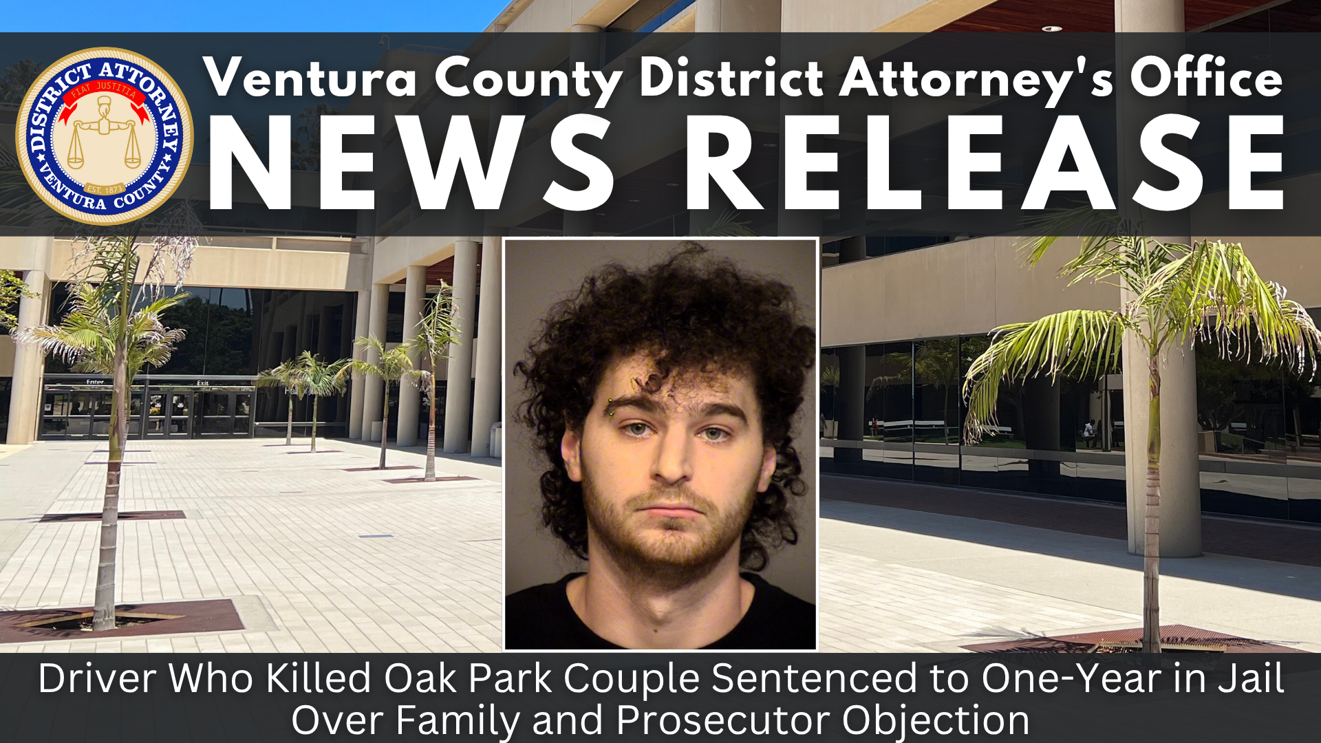 Driver Who Killed Oak Park Couple Sentenced to One-Year in Jail Over Family and Prosecutor Objection